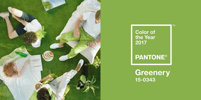 PANTONE2017年代色 15-0343 Greenery (草木绿)