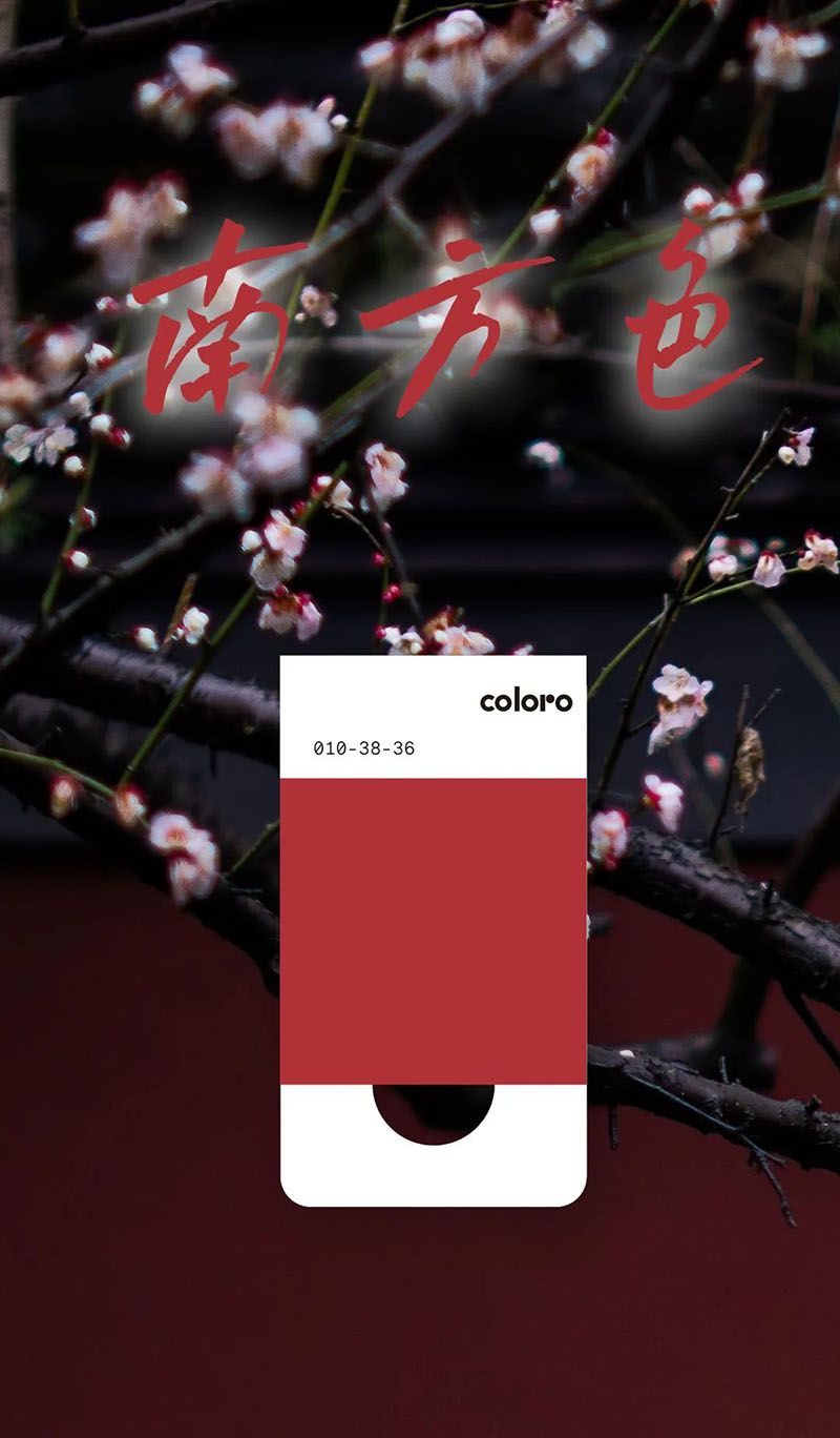 coloro色号010-38-36