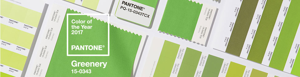 PANTONE2017年代色 15-0343 Greenery (草木绿)