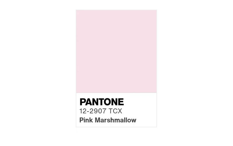 PANTONE 12-2907 TCX